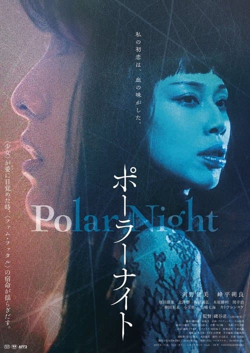 Постер: Polar Night
