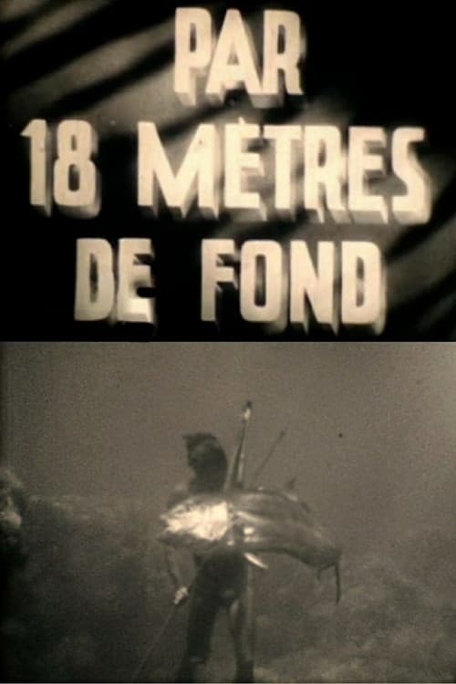 Постер: Par dix-huit mètres de fond