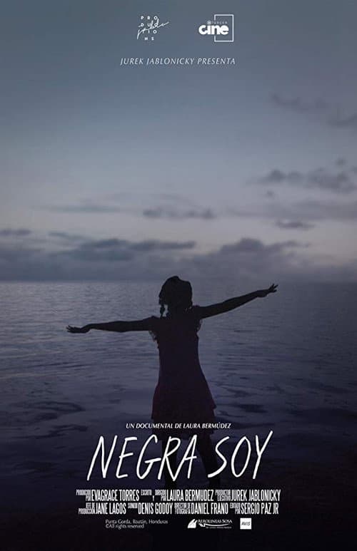 Постер: Negra soy