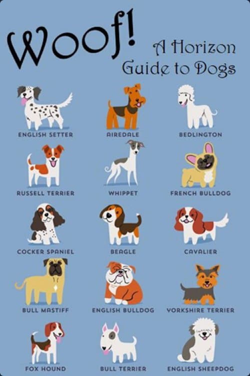 Постер: Woof! A Horizon Guide to Dogs