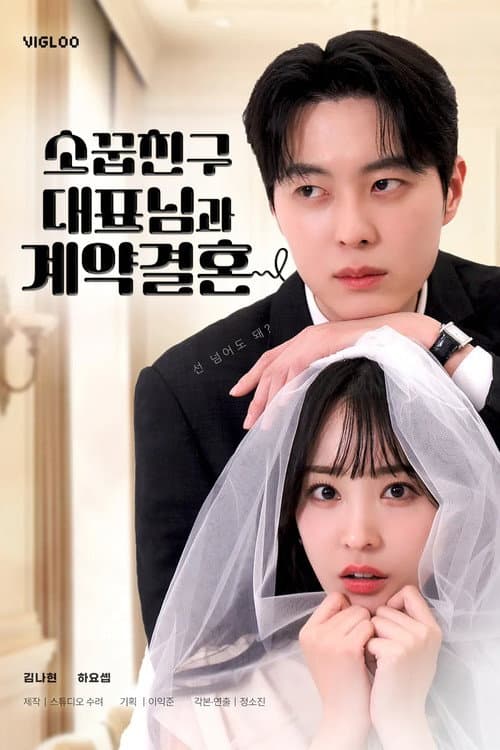 Постер: 소꿉친구 대표님과 계약 결혼
