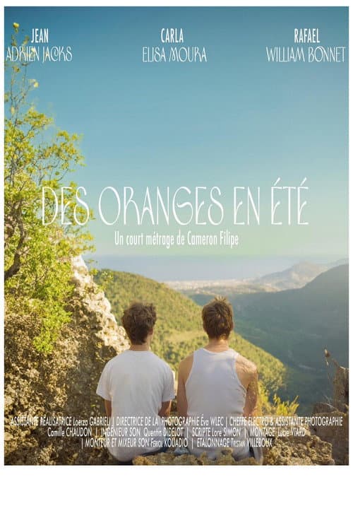 Постер: Des oranges en été