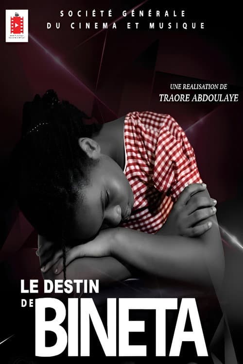 Постер: Le Destin de Bineta
