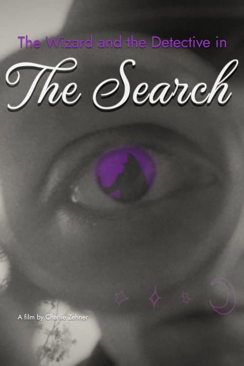 Постер: The Wizard and the Detective in the Search