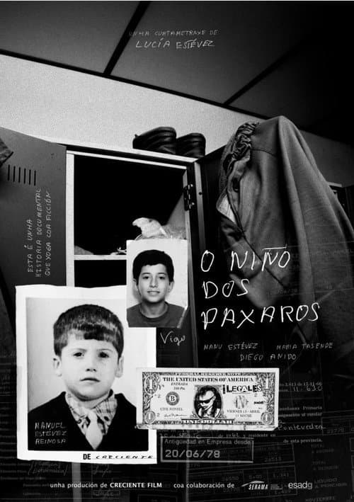 Постер: O niño dos paxaros