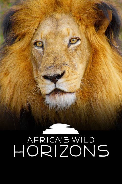 Постер: Africa's Wild Horizons