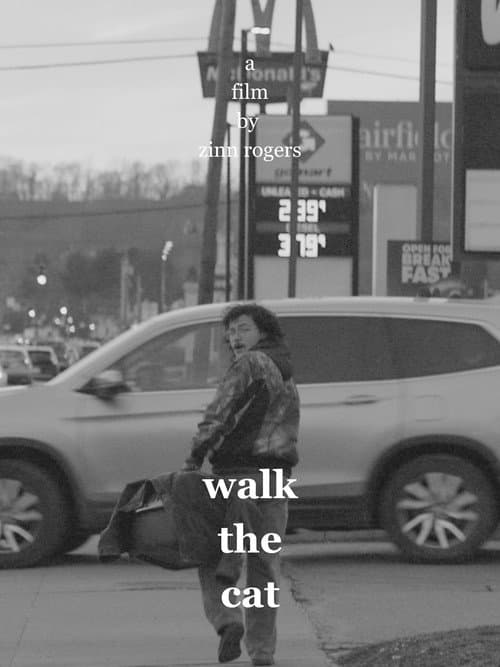 Постер: Walk the Cat