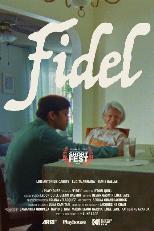 Постер: Fidel