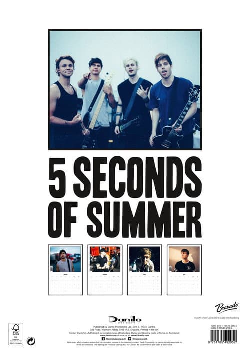 Постер: 5 Seconds of Summer - Rock in Rio Ao Vivo