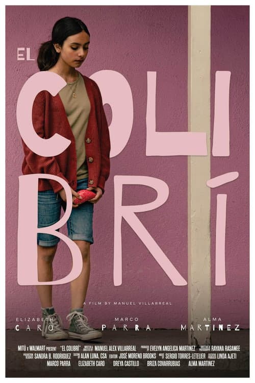 Постер: El Colibrí