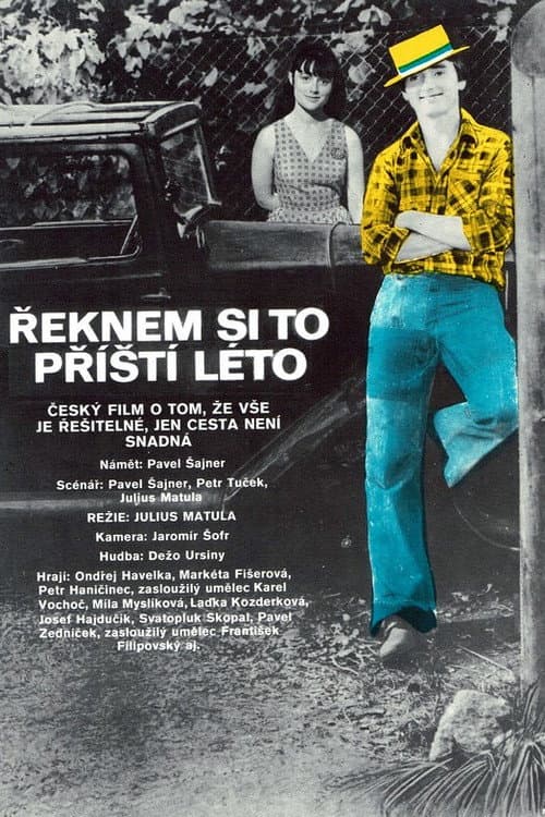 Постер: Řeknem si to příští léto