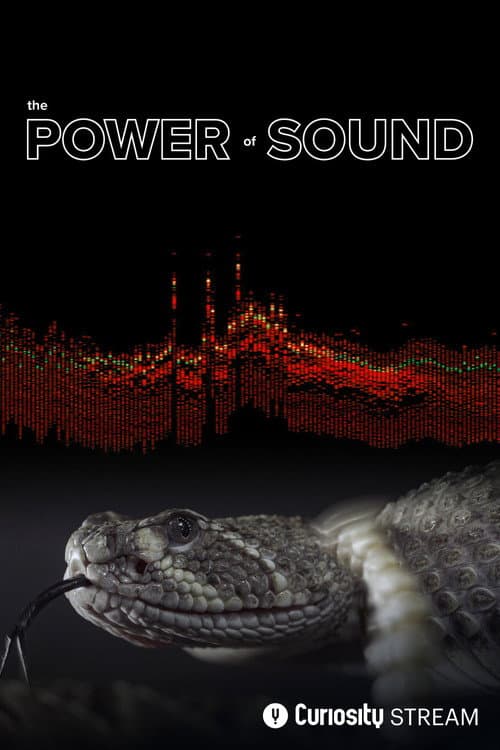 Постер: The Power of Sound