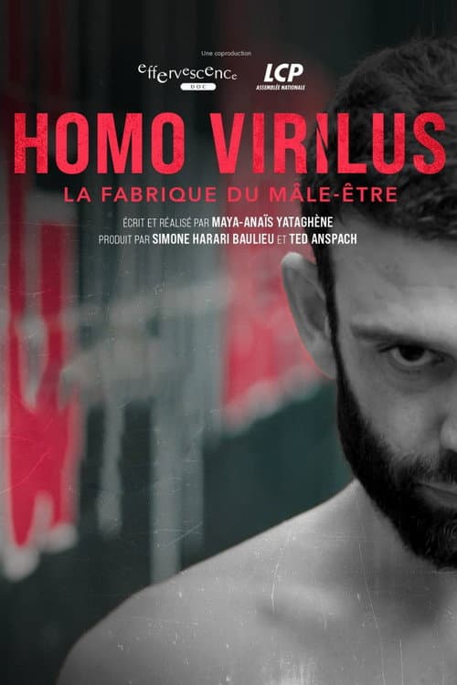Постер: Homo virilus : la fabrique du mâle-être