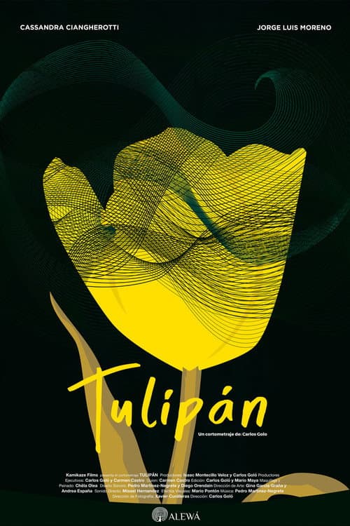 Постер: Tulipán