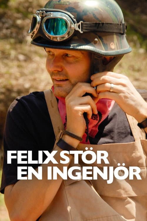 Постер: Felix stör en ingenjör