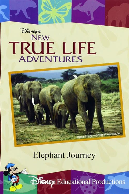 Постер: Elephant Journey