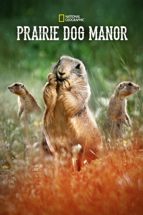 Постер: Prairie Dog Manor