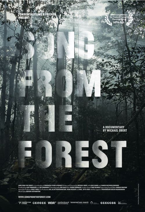Постер: Song from the Forest