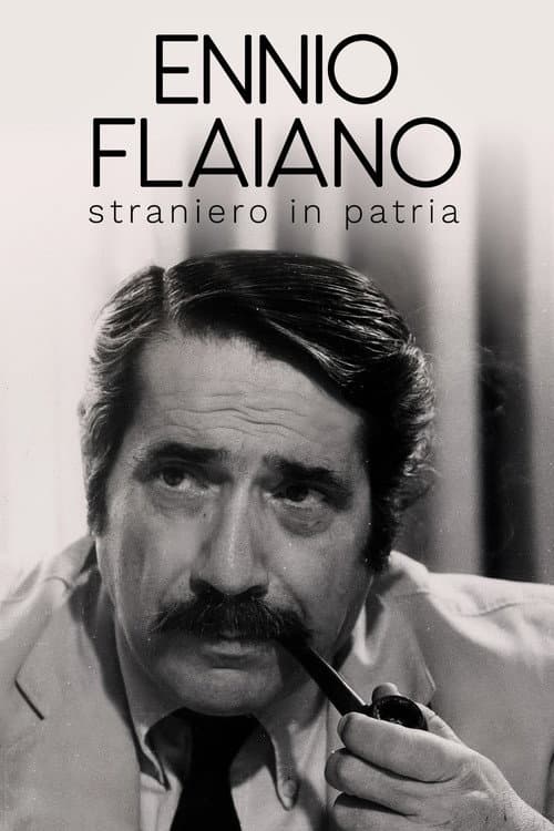 Постер: Ennio Flaiano, straniero in patria