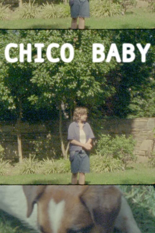 Постер: Chico Baby