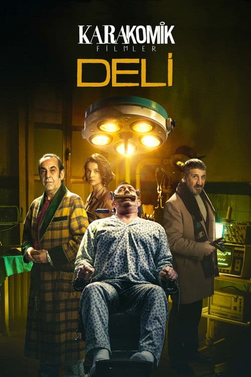 Постер: Karakomik Filmler 2: Deli