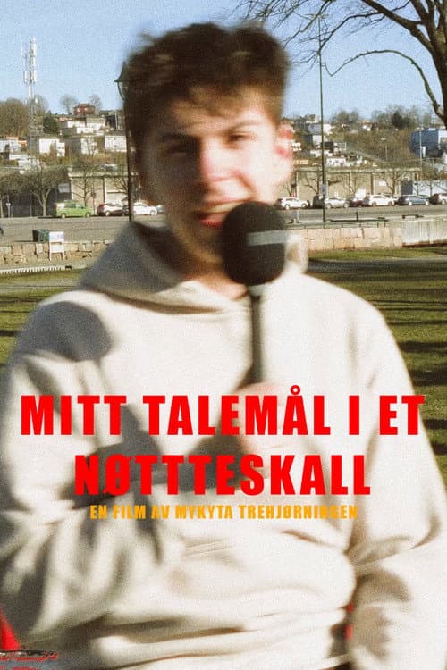 Постер: Mitt talespråk i et nøtteskall