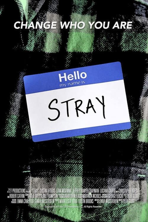 Постер: Stray