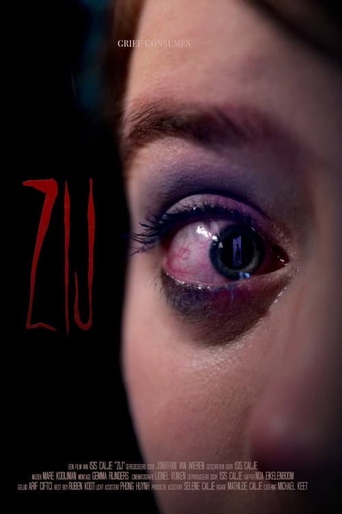 Постер: ZIJ