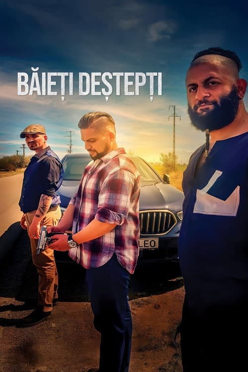 Постер: Băieți deștepți