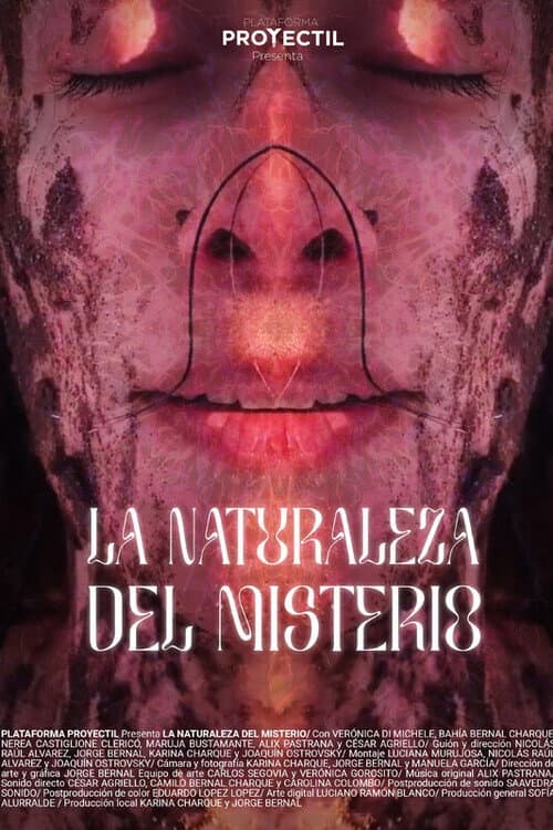 Постер: La naturaleza del misterio
