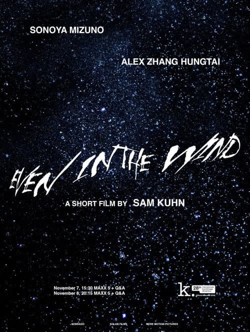 Постер: Even in the Wind