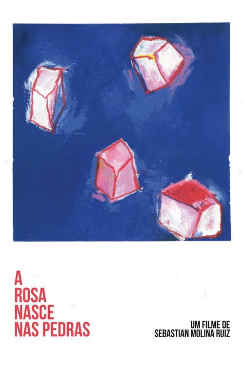Постер: A Rosa Nasce Nas Pedras