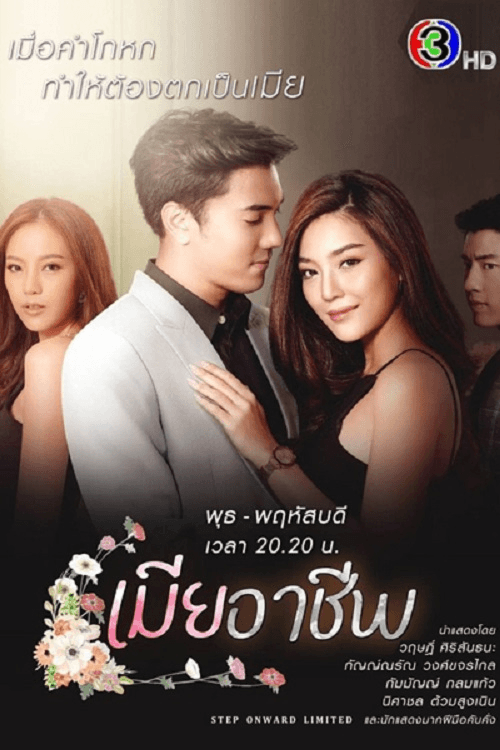 Постер: เมียอาชีพ