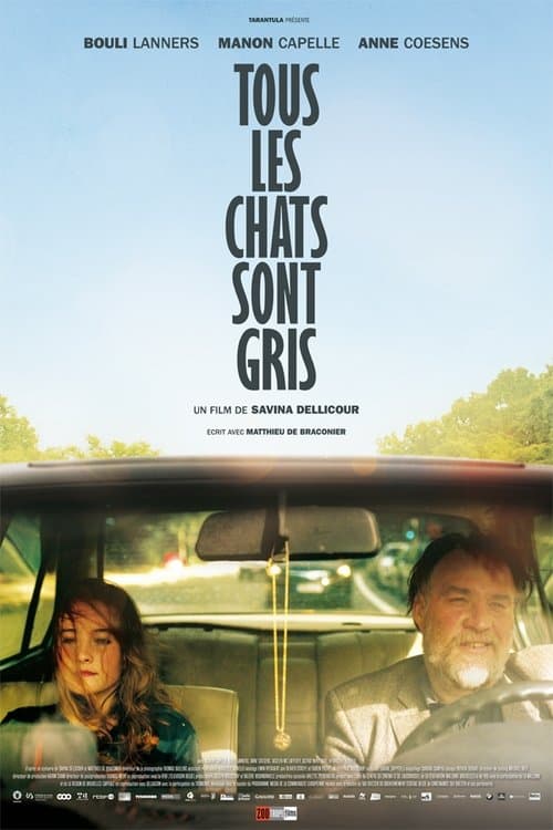 Постер: Tous les chats sont gris