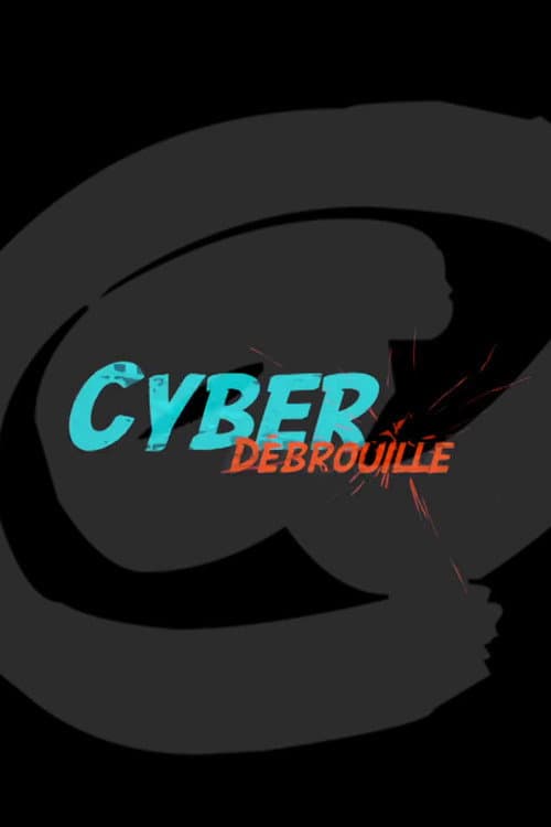 Постер: Cyberdebrouille
