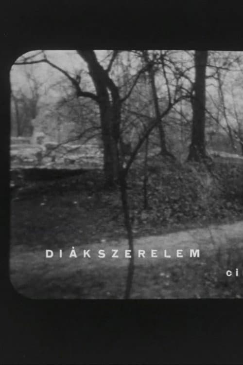 Постер: Diákszerelem