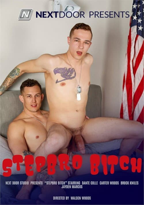 Постер: Stepbro Bitch