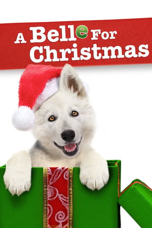 Постер: A Belle for Christmas