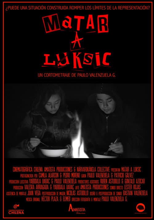Постер: Matar a Luksic