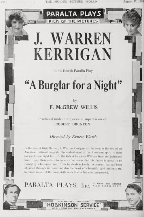 Постер: A Burglar for a Night
