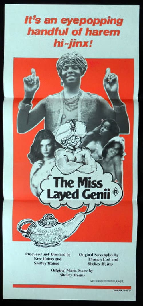 Постер: The Mislayed Genie