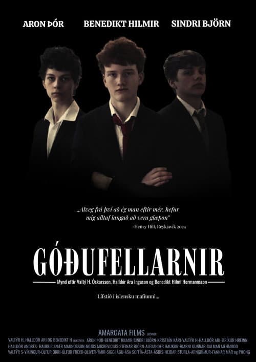 Постер: Góðufellarnir