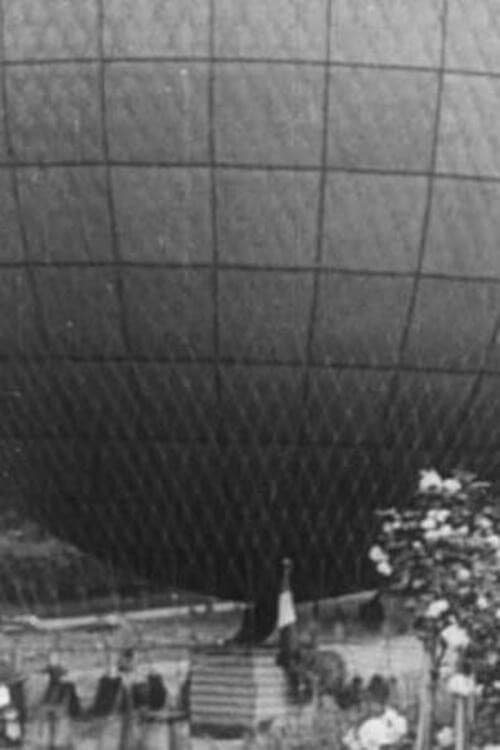 Постер: Balloon Accident at St Cloud