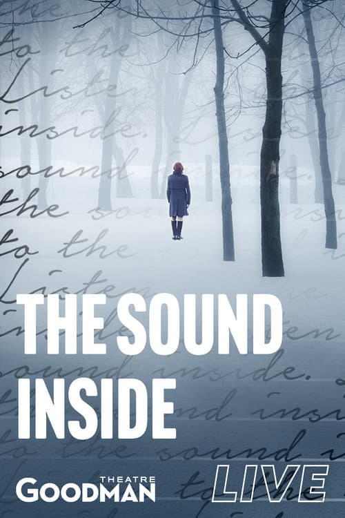 Постер: The Sound Inside
