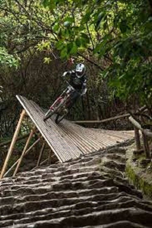 Постер: Downhill Urbano