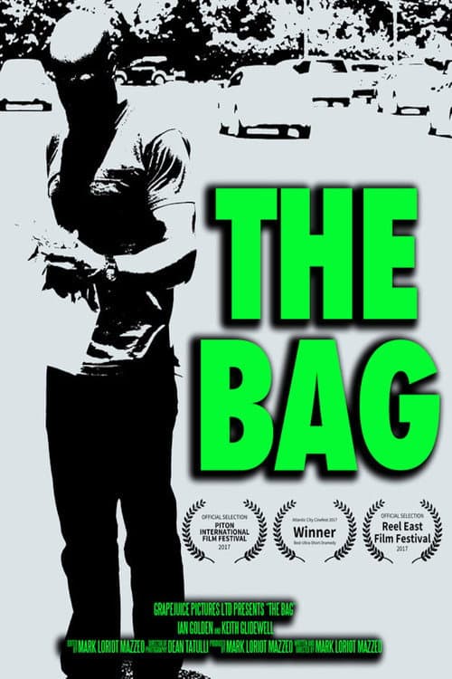 Постер: The Bag