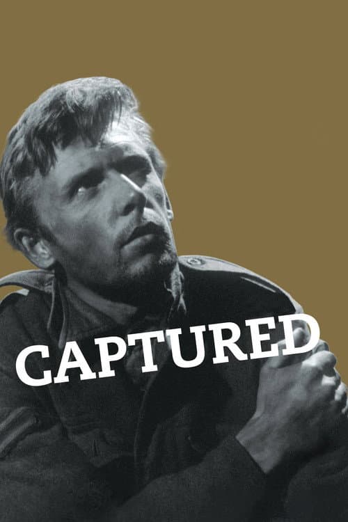 Постер: Captured