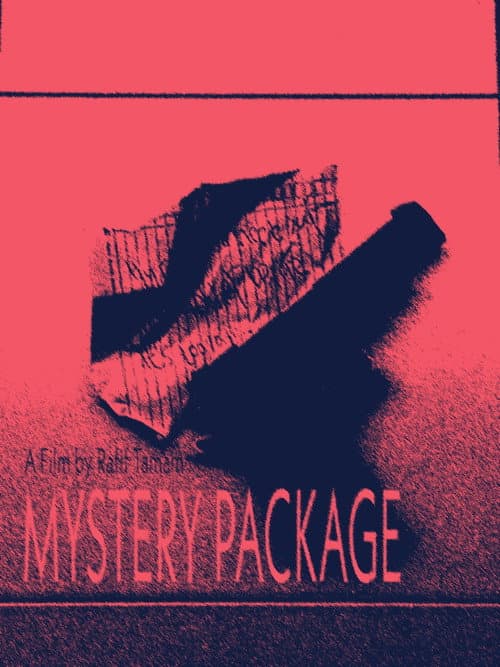 Постер: Mystery Package