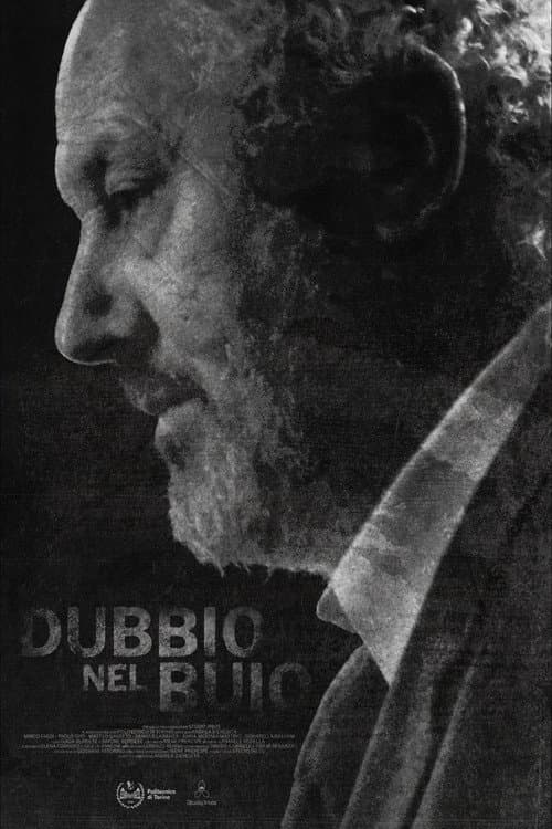 Постер: Dubbio nel buio