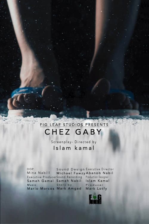 Постер: Chez Gaby